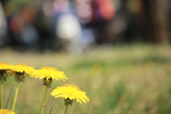  항상 찾아오는 봄과 함께, 새터민 역사기행에서 올해도 좋은 벗들을 만났습니다.