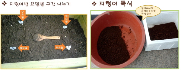 지렁이 특식이 커피 찌꺼기라는 것을 아시나요? 지렁이들도 아메리칸 스타일을 좋아하나 봅니다.