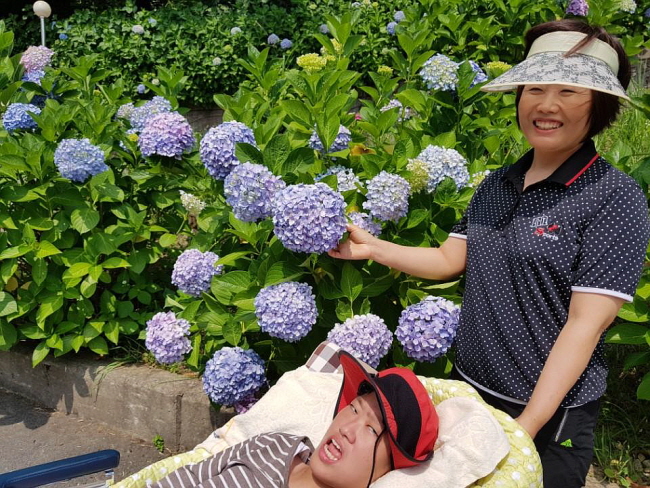 수국꽃 색깔 좀 봐요! 윤정영 님과 함께