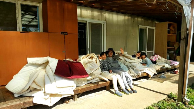 햇볕에 거풍한 속통을 걷고 잠시 쉬고 있는 상근자들 햇볕에 거풍한 속통을 걷고 잠시 쉬고 있는 상근자들