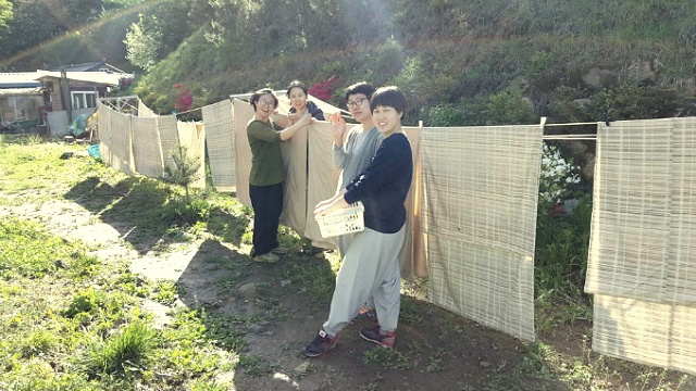 요사채 뒤 빨랫줄에 요 커버를 너는 문수방 상근자들 요사채 뒤 빨랫줄에 요 커버를 너는 문수방 상근자들