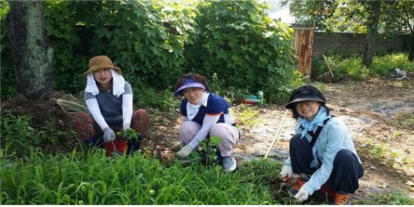 두북 울력! 도반과 함께. 최형옥 님(왼쪽)