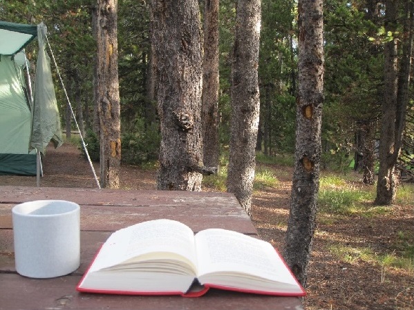선물로 받은 법륜 스님의 《금강경 강의》. 옐로스톤에서 마지막 장을 넘기며 찍은 인증사진.