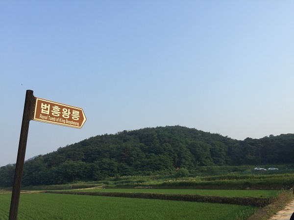 통일의병대회의 시작지인 법흥왕릉으로 향하는 길목에서