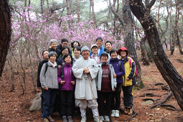 삼릉에서 시작한 평지 산책길. 화려하게 핀 진달래가 우리를 반겨주었습니다.