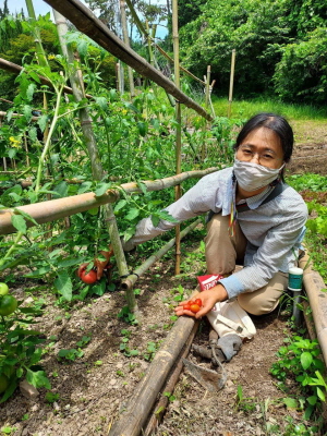 토마토를 수확하고 있는 주인공
