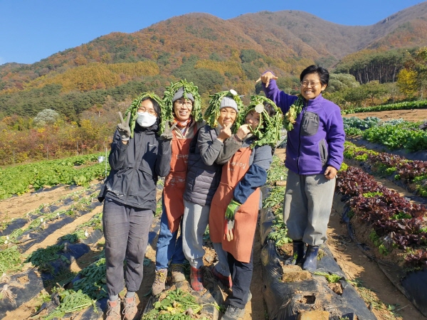 고라니 밭에서 일 수행 중(왼쪽에서 두 번째가 문미숙 님)