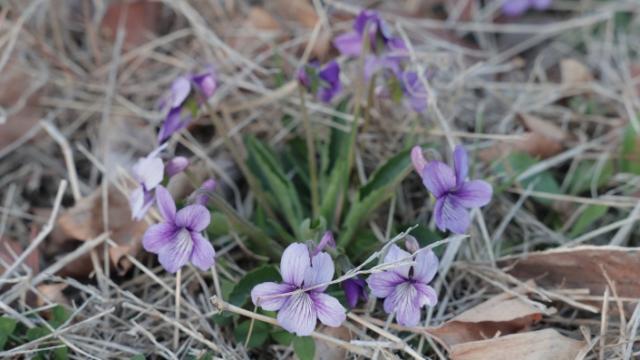 “이혼소송 중에 스토커, 주거침입으로 고소당했습니다.”