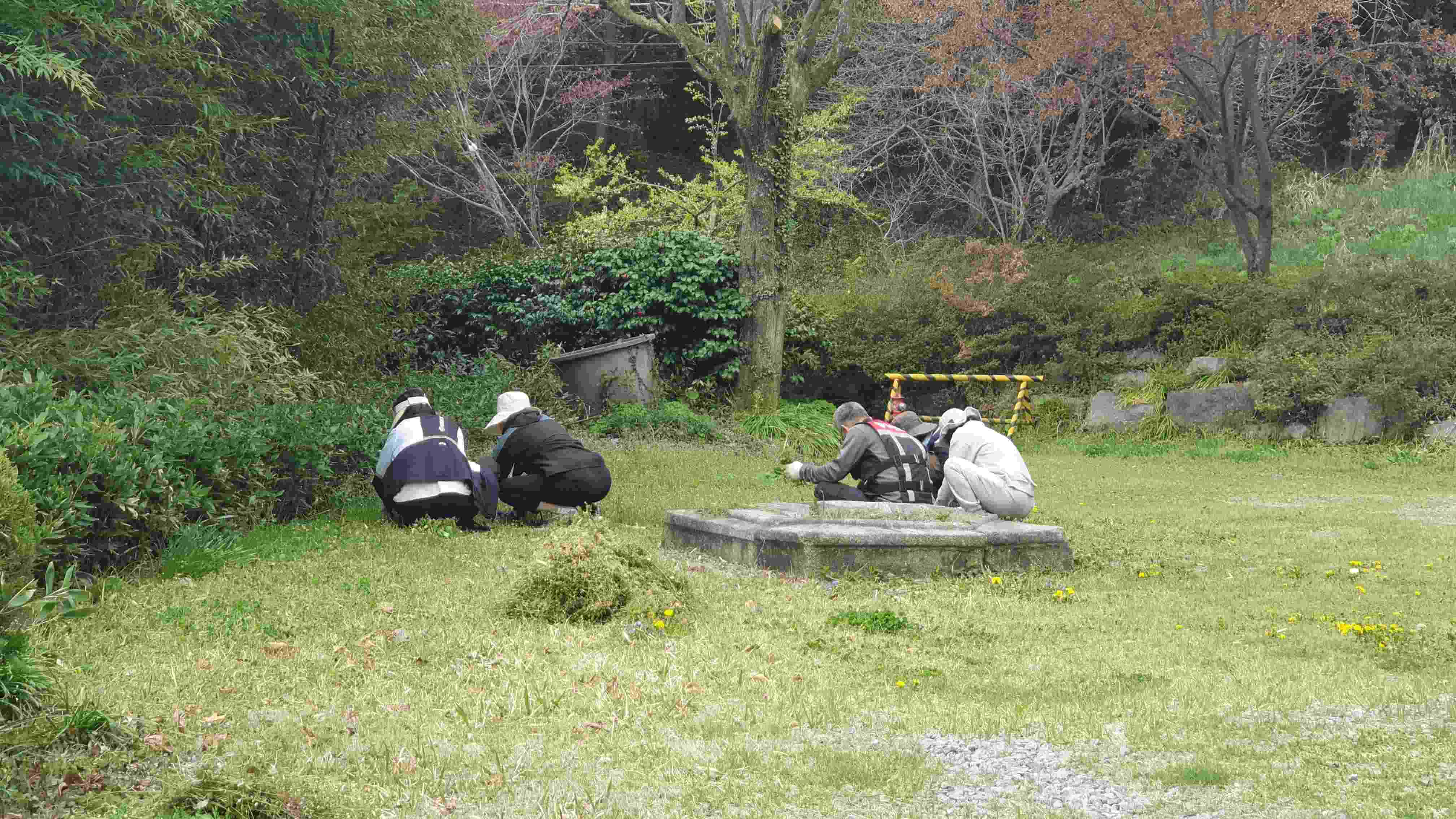 도량정비도 함께 하며 도량정비도 함께 하며