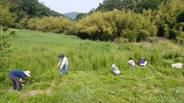 2018년 봉림사지 울력