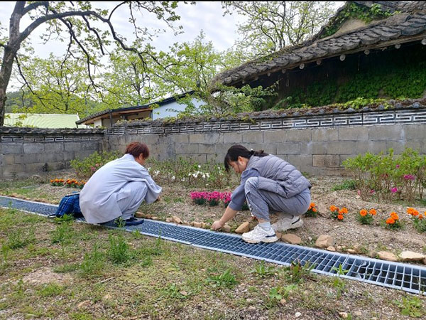 화단에 풀 뽑는 김심교 님(오른쪽)