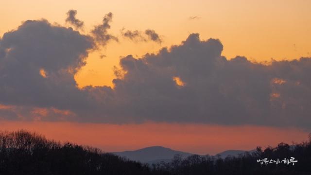 “장애가 있는 아이의 자립, 엄마는 어디까지 곁에 있어야 할까요?”