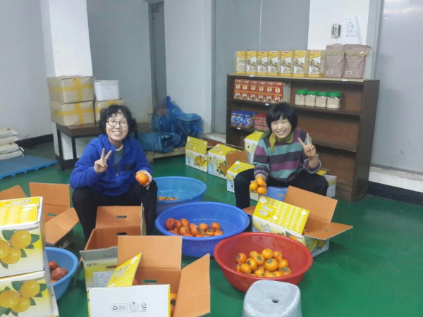 보시로 들어온 감에서 좋은 것 선별 작업 중~~ 왼쪽부터 임연희 보살님, 서지선 보살님