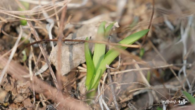 “중도는 코에 걸면 코걸이고, 귀에 걸면 귀걸이인가요?”