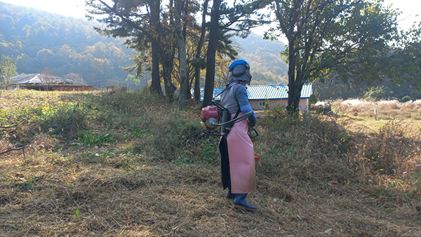 수련원 예초 중