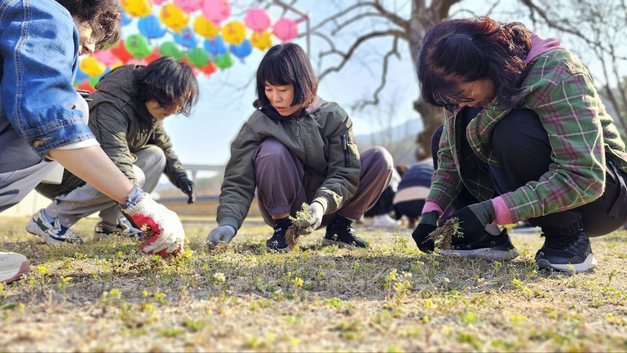 2025년 4월 동대구지회의 날, 아도모례원 마당 잡초 뽑기 (가운데)