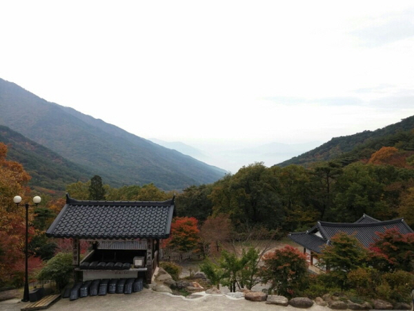 등산로 중간쯤에서 내려다본 화엄사 전경. 물들기 시작한 단풍 사이로 고즈넉한 천년사찰은 보는 것만으로도 마음이 맑아집니다~~