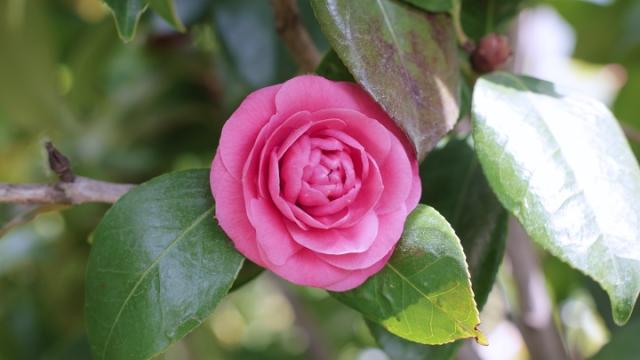“주변 사람이 아프면 죽을까 봐 걱정됩니다”
