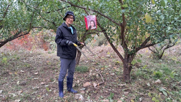 2025년 문경수련원 매실 밭 칡 제거 작업 중