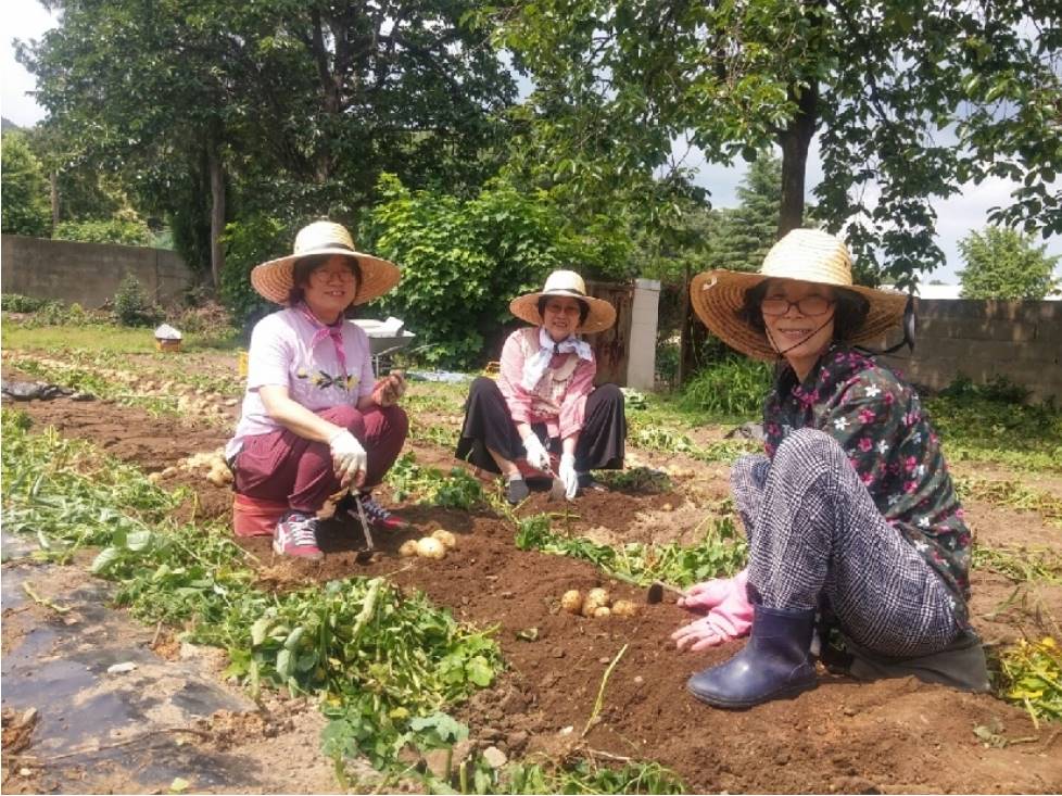 두북에서 울력 봉사 중인 최문숙 님(맨 오른쪽)