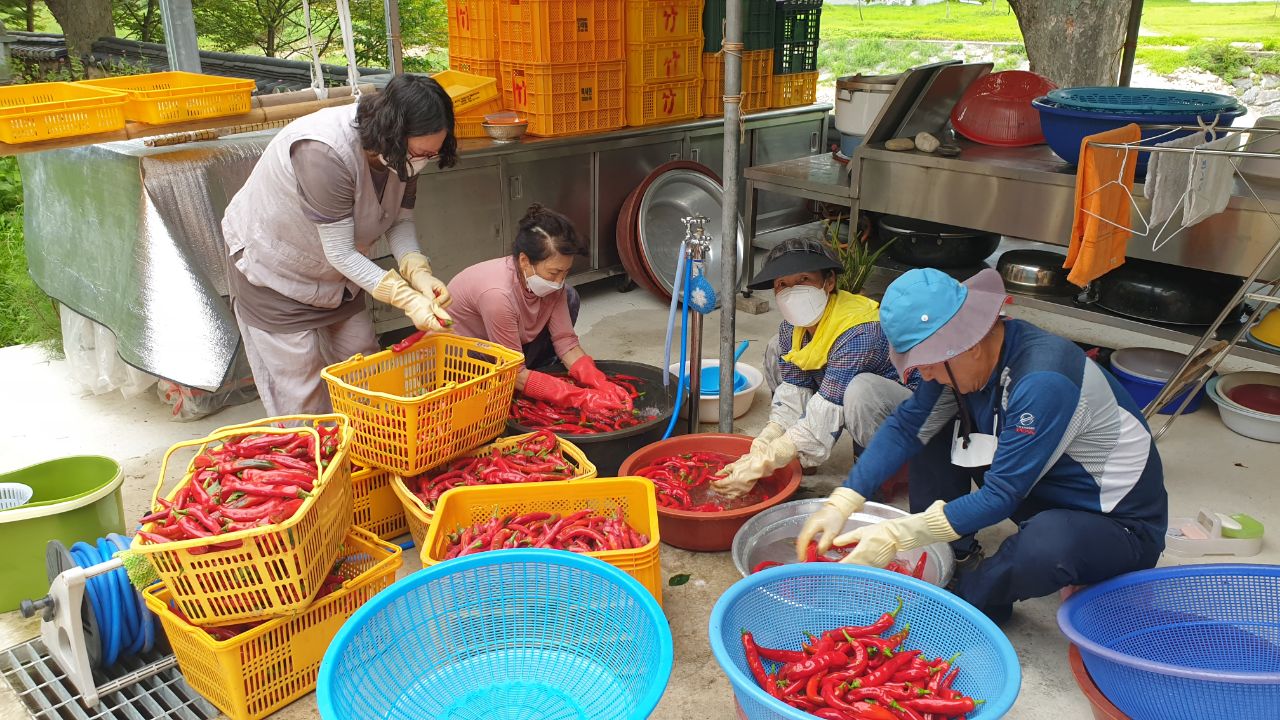 고추따고 씻어 말리기