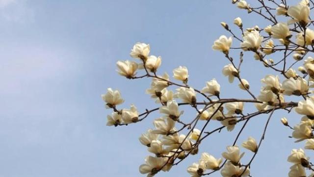 “AI가 만들어낸 영상물 어디까지가 진짜일까요?”