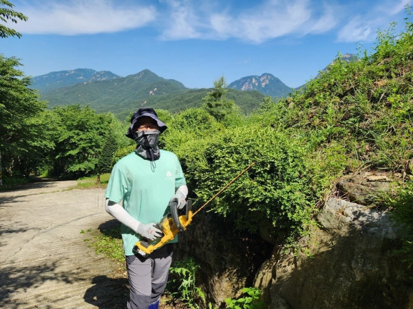 문경수련원 가지치기작업