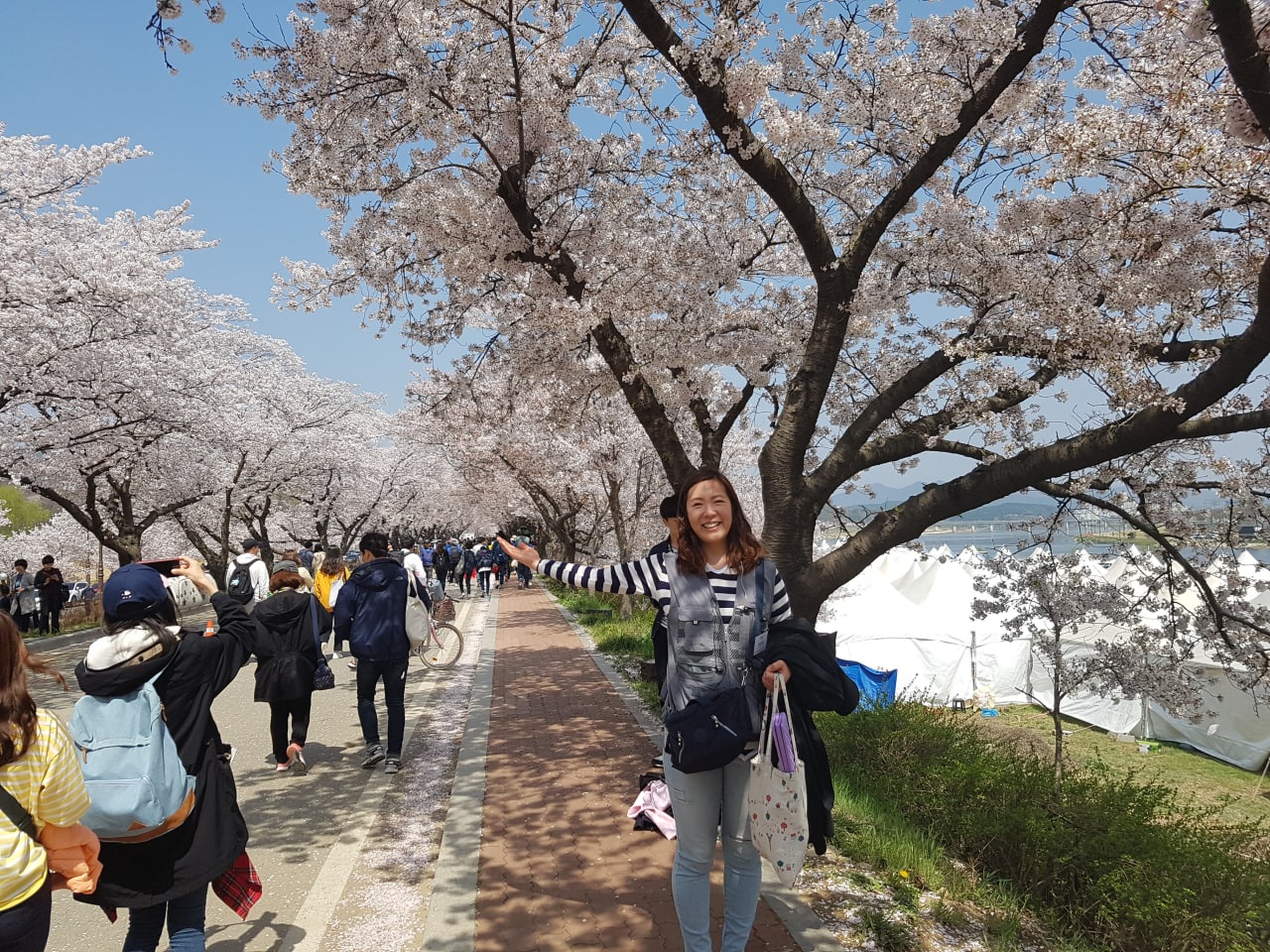 벚꽃 나무 아래에서 즐거운 한때