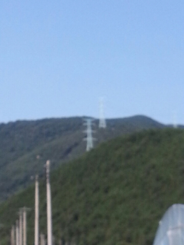 대도시에 이런 송전탑 보셨나요? 전기를 대량으로 쓰는 대도시, 대기업을 위한 송전탑이랍니다.