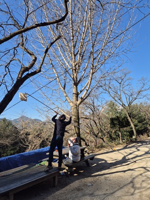 감을 따며(왼쪽이 유명종 님)