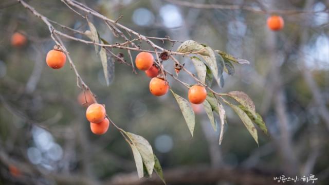 도우려 할수록 더 어려워집니다, 어떻게 돕는 것이 지혜로울까요?”