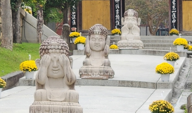 “난 안 볼란다.” 부끄러움을 가르칩니다. “난 안 볼란다.” 부끄러움을 가르칩니다.