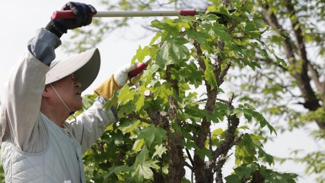 “퇴근 후에 휴대폰만 봅니다. 이대로 괜찮을까요?”