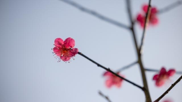 “절에 오래 다녔다고 다 수행자가 되는 것은 아닙니다”