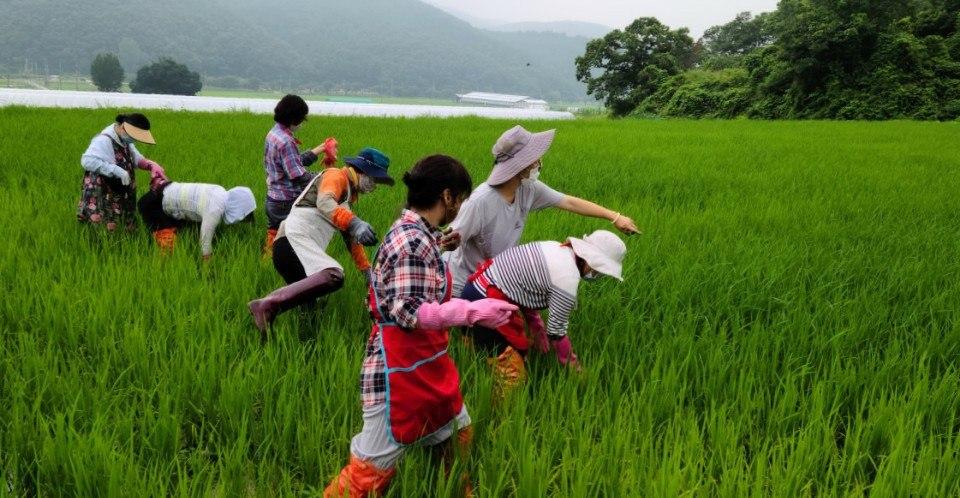 무궁화 꽃이 피었습니다, 내 발 놔놔놔~