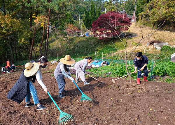 텃밭 고르기