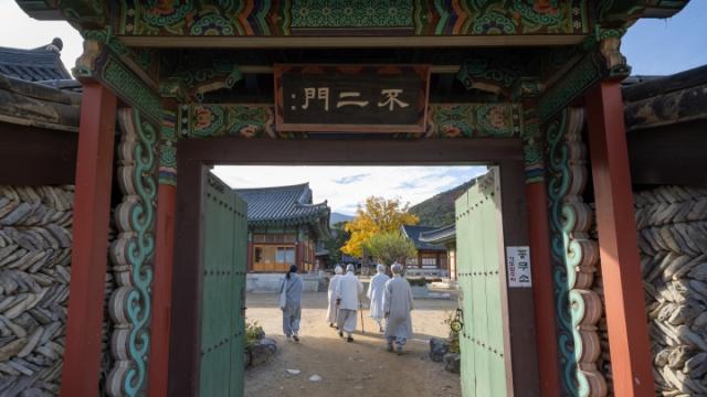 “스님의 젊은 시절과는 다른 시대, 저희 청년들은 어떻게 살아야 할까요?”