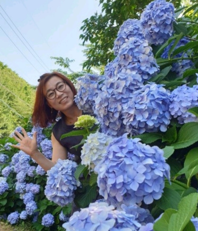 보라색 수국과 함께 까꿍~ 맹선희님