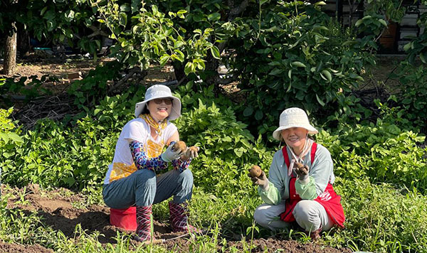 아도모례원 햇감자 수확(왼쪽 강나영 님)