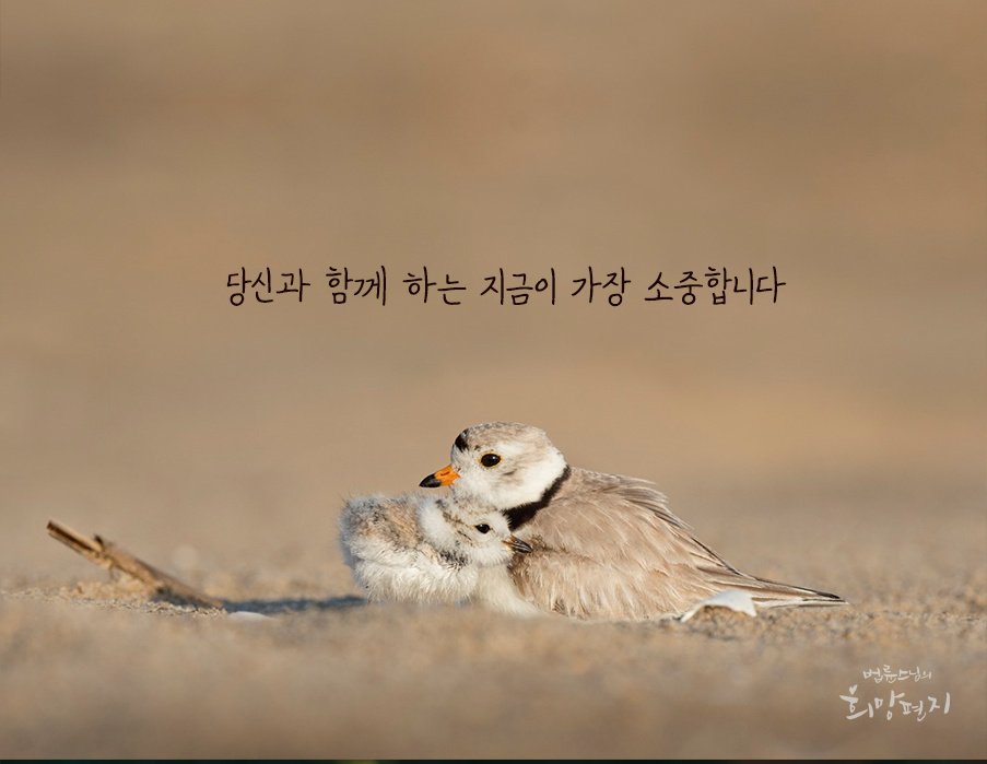 당신에게 감사합니다