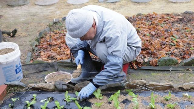 “일, 관계에서 어떻게 해야 집착을 놓을 수 있을까요?”
