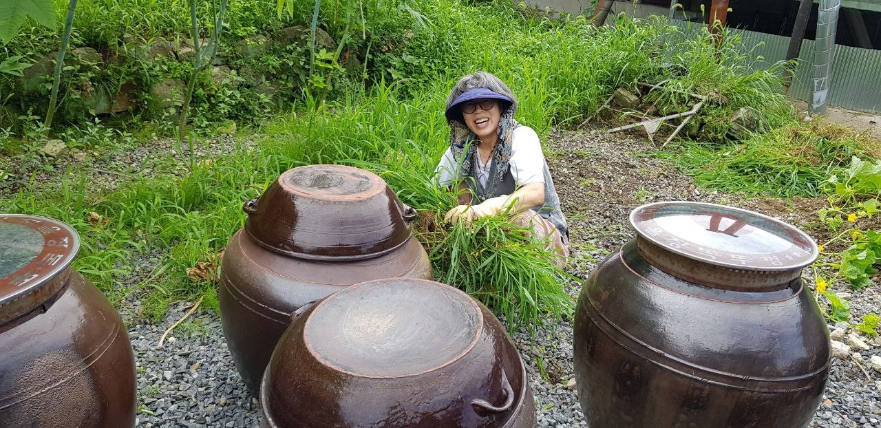 경주 천룡사에서 풀뽑기