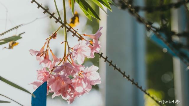 “사는 게 지옥처럼 느껴질 때도, 계속 살아가야 할 이유가 있을까요?”