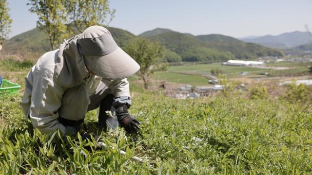 “직업 군인인 저는 부상으로 재활 중인데, 전역을 해야 할까요?”