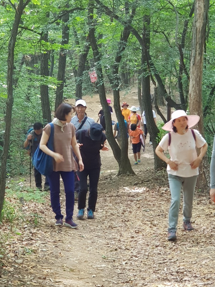 손보경 님(사진 오른쪽)과 함께 하는 숲 체험