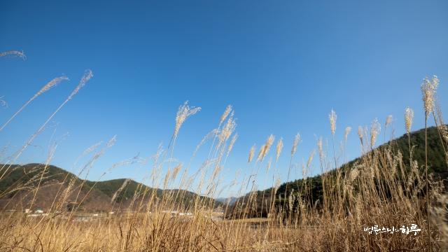 “말기 암 아내와 두 아이를 두고, 저는 어떻게 살아가야 할까요?”