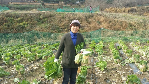 두북에서 밭일 봉사 중인 조희열님