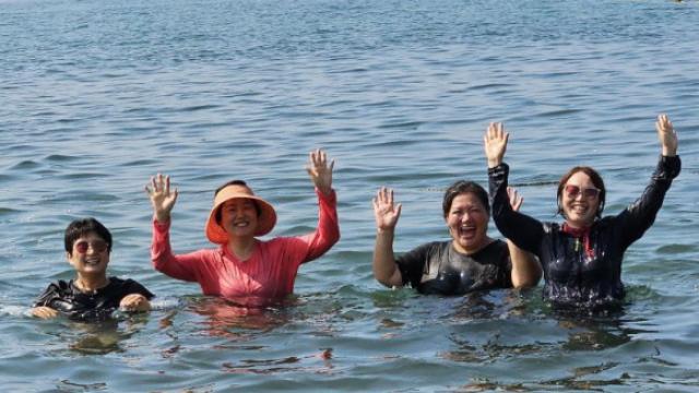 마음이 쉬어가는 곳, 천룡사로 오세요